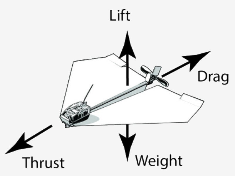 The Basic Principles of Aerodynamics